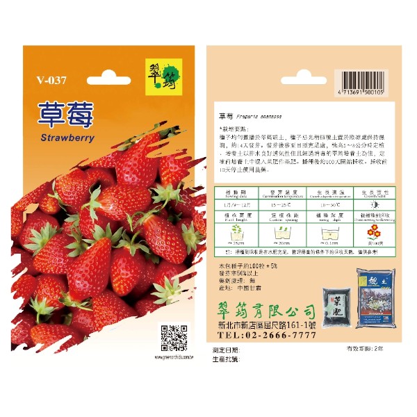 翠筠草莓 V-037