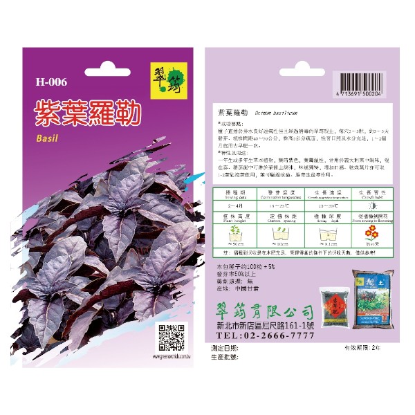 翠筠紫葉羅勒 H-006