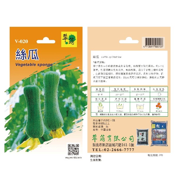 翠筠絲瓜 V-020